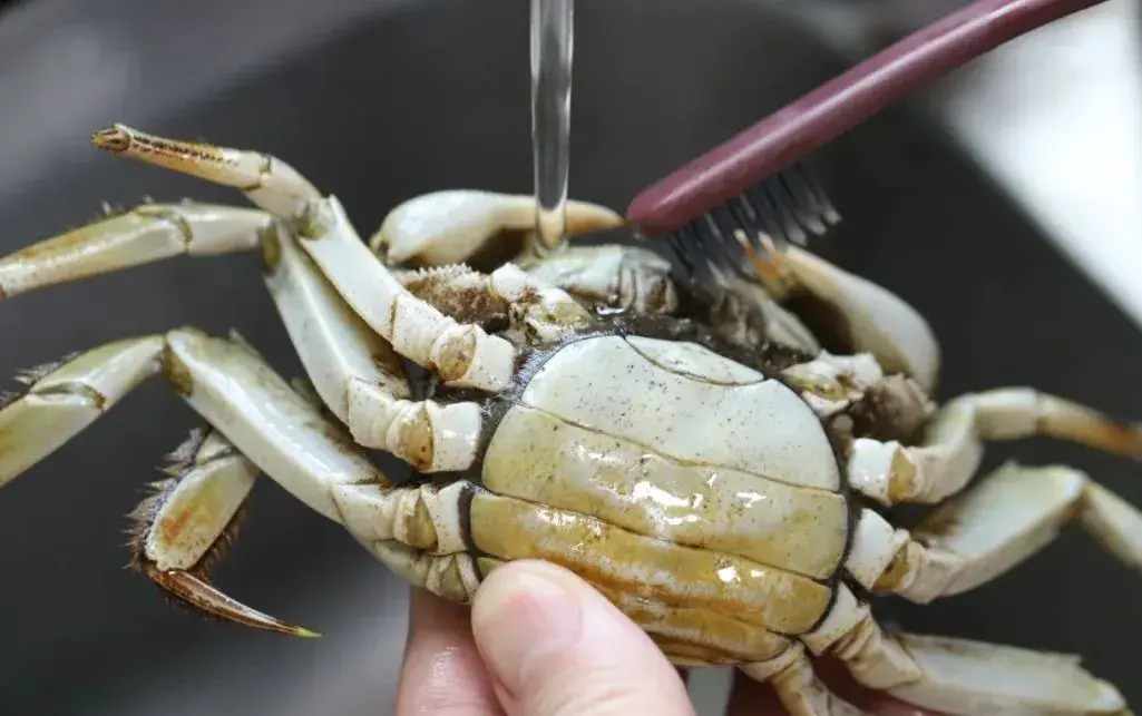 什么东西越洗越脏的答案（这些食物不要直接用水洗，反而越洗越脏）