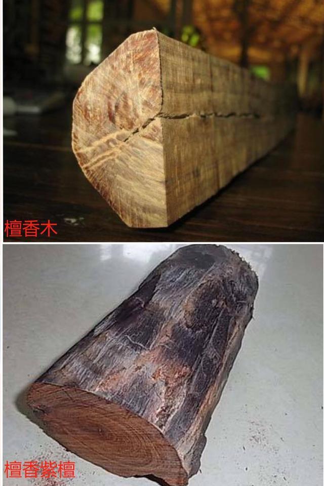 什么是檀香紫檀？