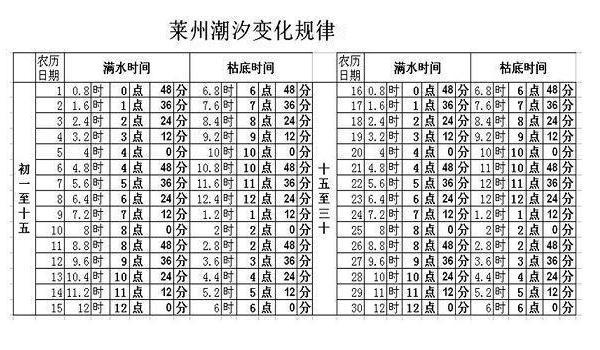 潮水时间表2024（山东部分地区潮汐表）