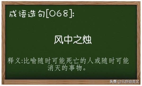 风字开头成语有哪些（风中之烛）